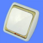 Выключатель 1 клавишный скрытой проводки С16-003 белый золотая рамка с индик Дельта