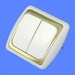 Выключатель 2 клавишный скрытой проводки С56-002 белый золотая рамка Дельта