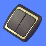 Выключатель 2 клавишный скрытой проводки С56-002 металлик бордо/зол рамка Дельта